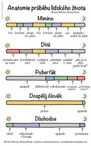 anatomie_zivota